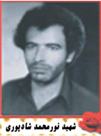 شهید نور محمد شادپوری
